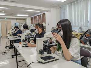 【札幌大通】顕微鏡を通して動物を知ろう🔎