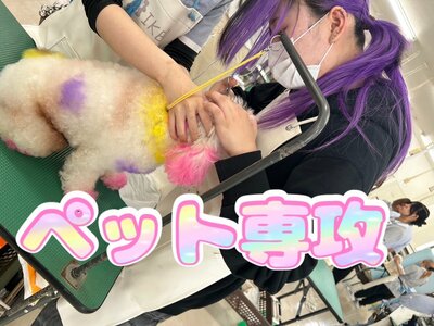 【札幌大通】トリマー体験
