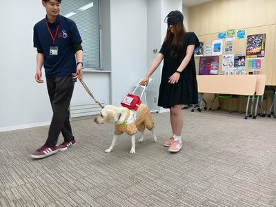 【札幌大通】盲導犬体験   🐶