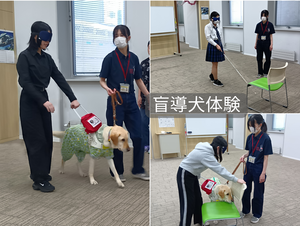 【札幌大通】6月17日「盲導犬体験」を開催！1年生の特別活動で命の尊さと優しさを学びました🐕✨