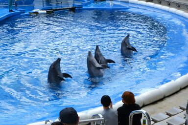 【仙台駅前】特別活動で水族館に行ってきました！！