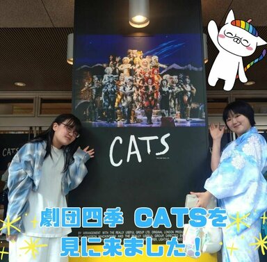 【仙台駅前】特別活動で劇団四季のCATSを見に来ました！🐈