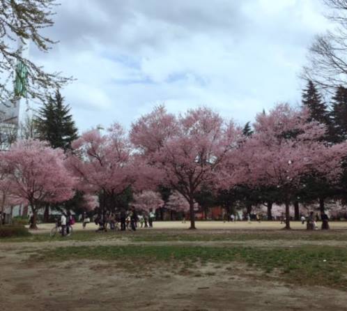 入学式5.jpg