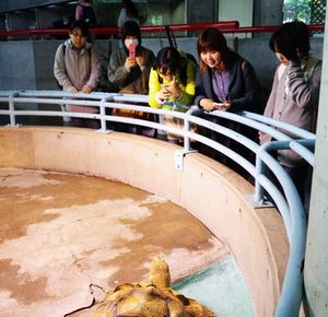 動物園２.jpg