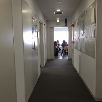 今日は日本の暦で最上の吉日らしいですね。