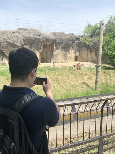 【仙台】動物園に行ってきました🦝（番外編）