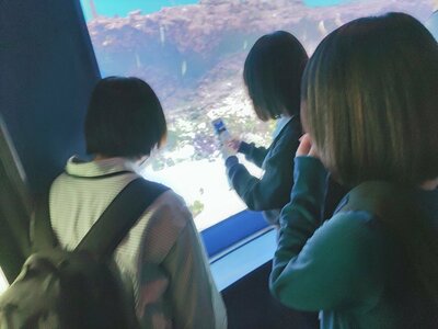 12.21　2年本校SC　3日目（美ら海水族館）.jpeg