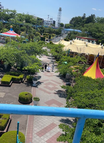 Image_20250612_125534.jpeg