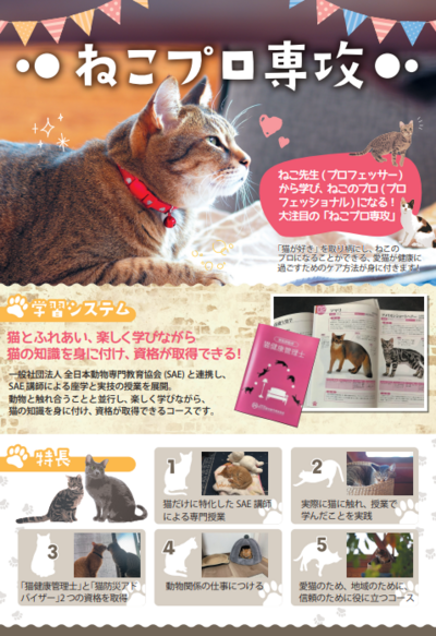 スクリーンショット 2025-06-18 162205.png