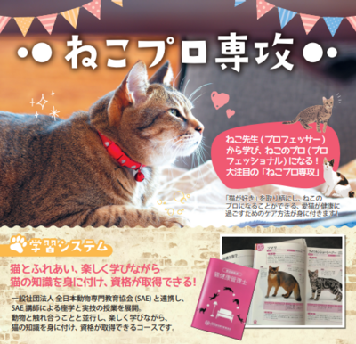 スクリーンショット 2026-02-20 172720.png