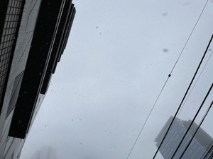 【新宿】新宿学習センターでも雪が・・！