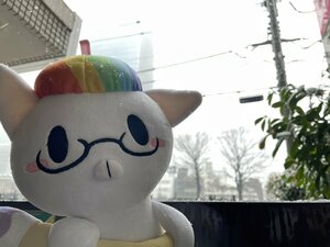 【新宿】雪だああ(=^・・^=)！！