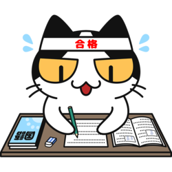 入試猫.png