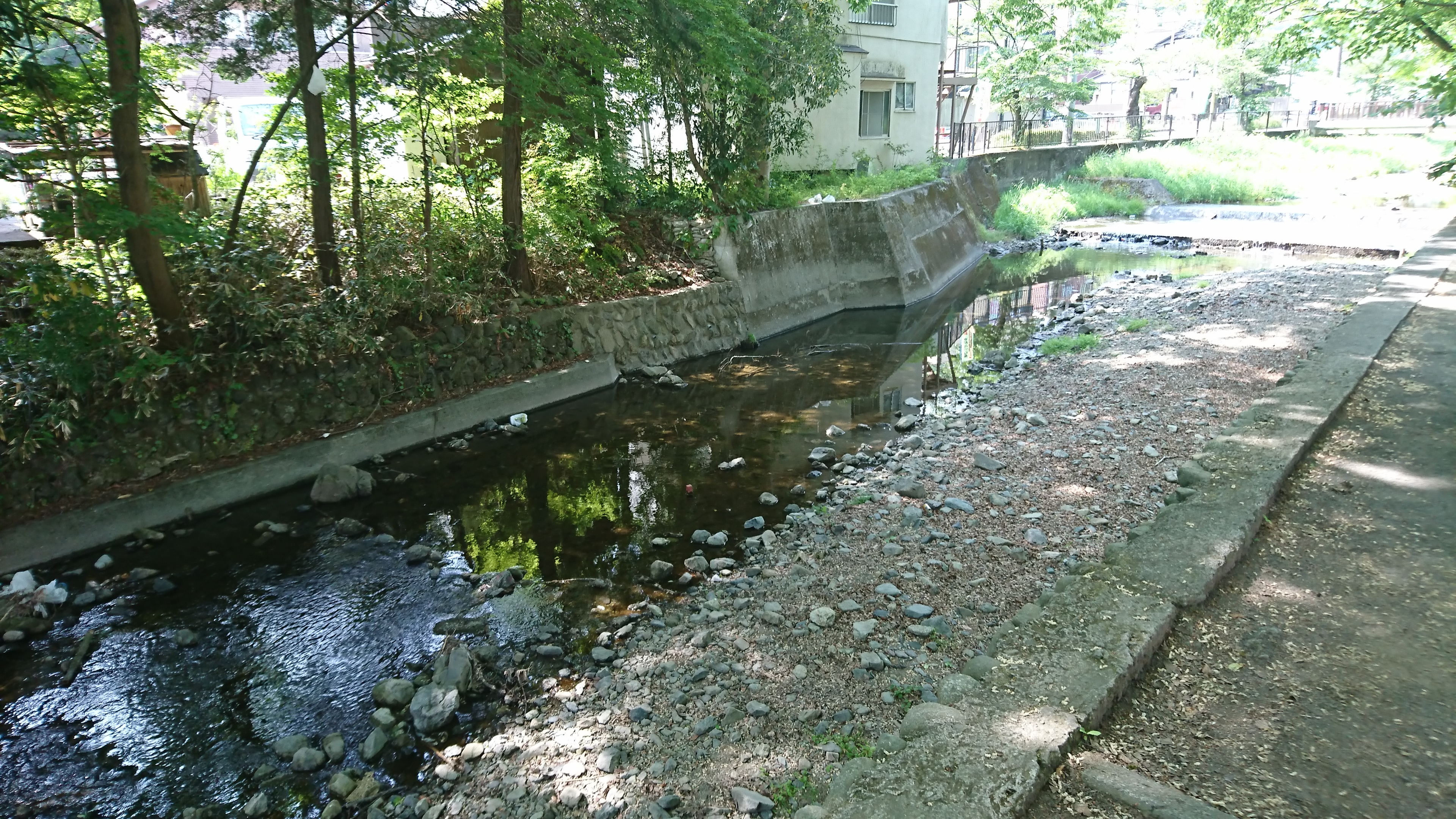 【立川】平成29年度の高尾山へ