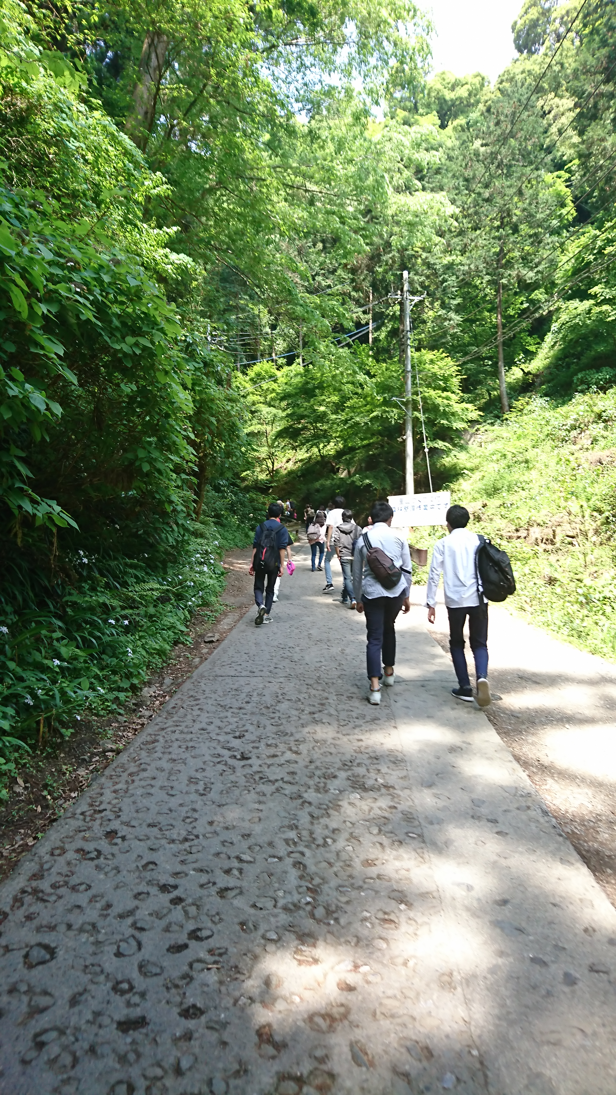 【立川】平成29年度の高尾山へ②