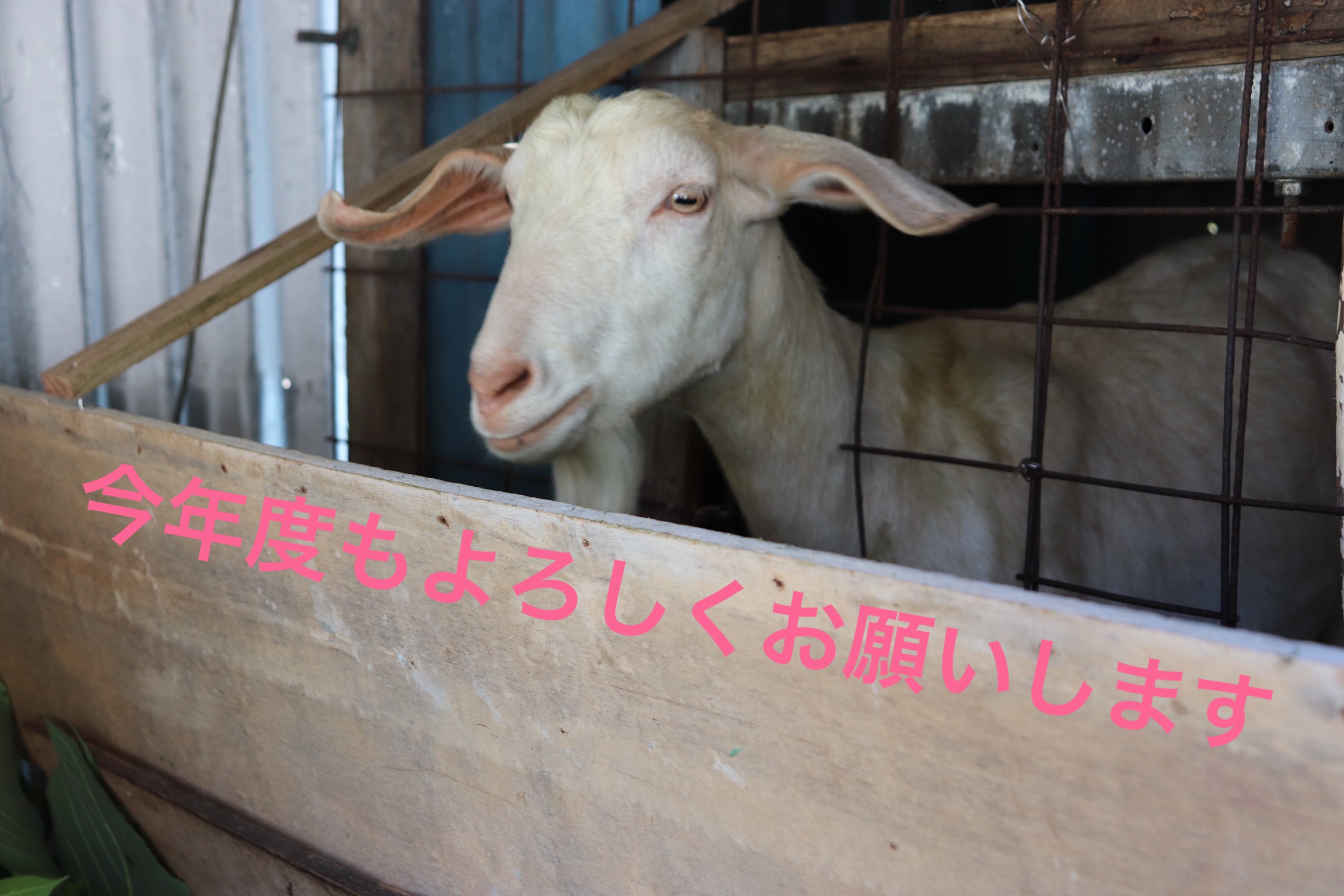 【立川】新年度スタート♪