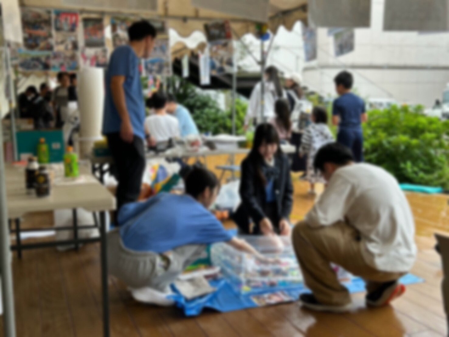 S__247177220_0.jpg