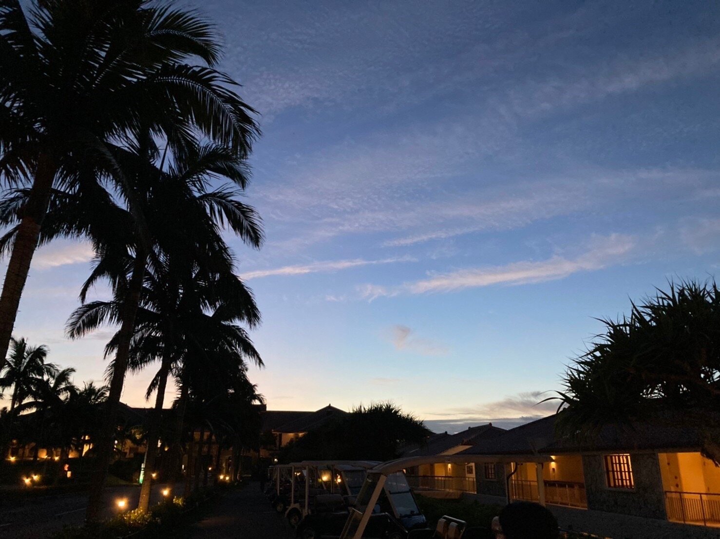 S__25428002.jpg
