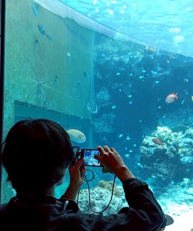 S__60252175_0.jpg
