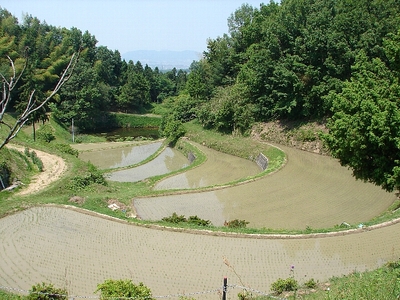 里山自然観察会