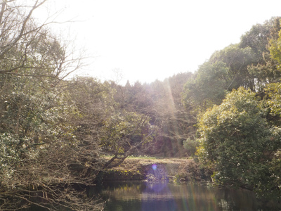 【高松】生物観察会