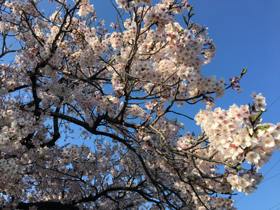 【高松】新入生の周知会