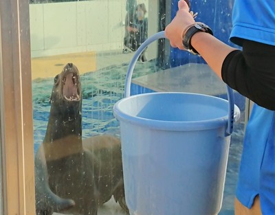 1118水族館⑥.jpgのサムネイル画像