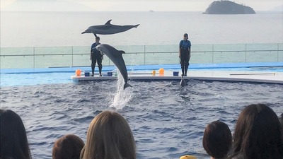 s-1118水族館④.jpgのサムネイル画像