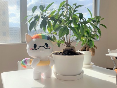 s-ひゅーにゃんと植物.jpg