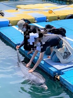 【高松】ドルフィントレーナー体験🐬