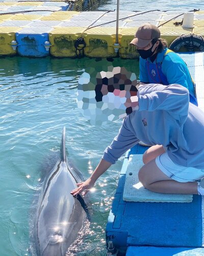 【高松】ドルフィントレーナー専攻の体験会🐬🐟🎶