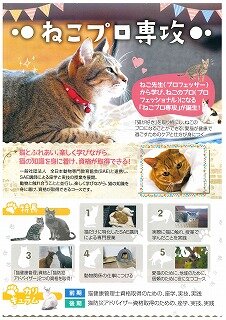 【高松】ねこ好き・動物好き集まれ(^^)/