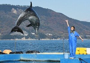 【高松】ドルフィントレーナー専攻の体験🐬😍