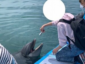 【高松】ドルフィントレーナー専攻の体験🐬✨