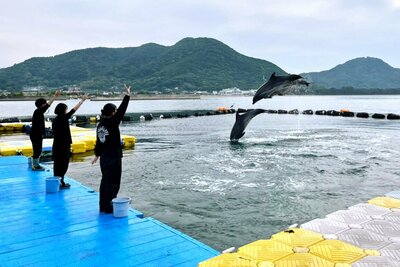 【高松】＜特別回＞ドルフィントレーナー専攻体験会🐬🎈