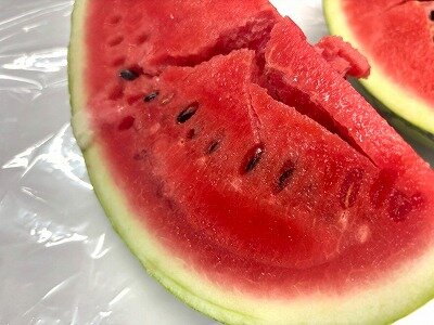 【高松】３年生スクーリング😄＆（スイカ祭り第2弾🍉🍉）