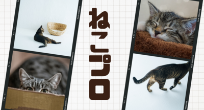 【高松】今年最後のオープンスクール🐈🔰