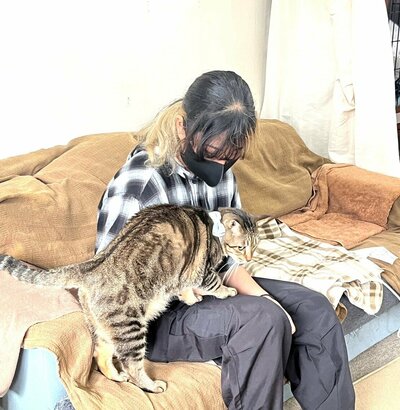 ねこ2.jpg