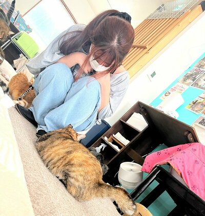 ねこ.jpg