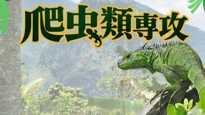 【爬虫類専攻】体験サムネイル参考.jpg