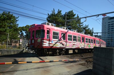 DSC_0054.jpg