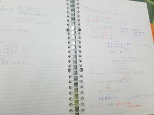 SP2.jpg