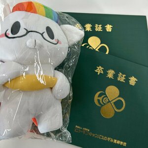 【高田馬場】来週は卒業式🌸ひゅーにゃんも準備中？！🐱💕✨