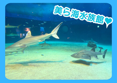本校SCの様子1.jpg