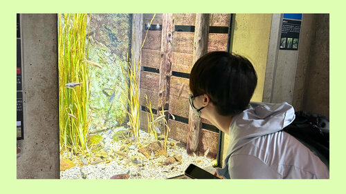 水族館4.jpg