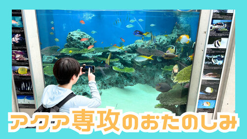 水族館3.jpg