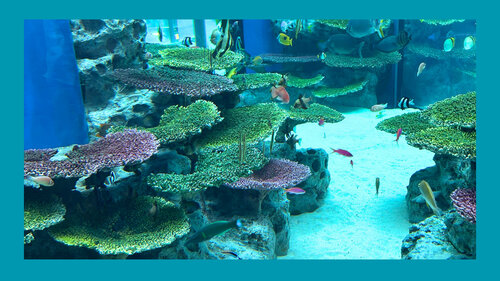 水族館5.jpg