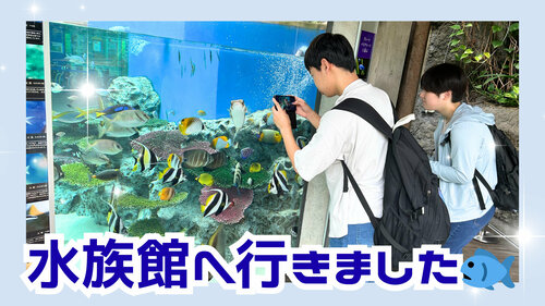 水族館1.jpg
