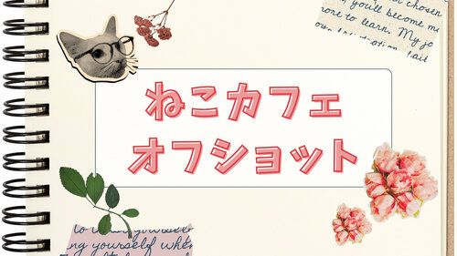 【宇都宮】ねこカフェ訪問オフショット🐱💗