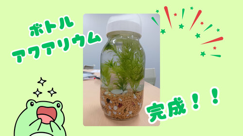 ボトルアクアリウム②.jpg